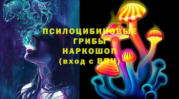 ГАЛЛЮЦИНОГЕННЫЕ ГРИБЫ Балабаново